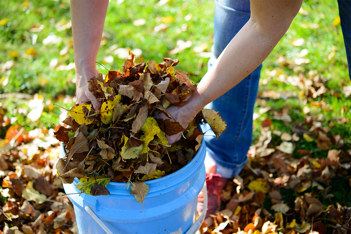 fall-Cleanup-img